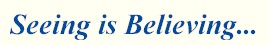(Seeing is Believing).jpg (5935 bytes)
